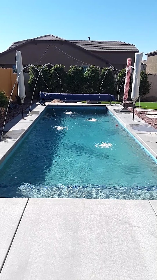 Dolphin Pools Construction project