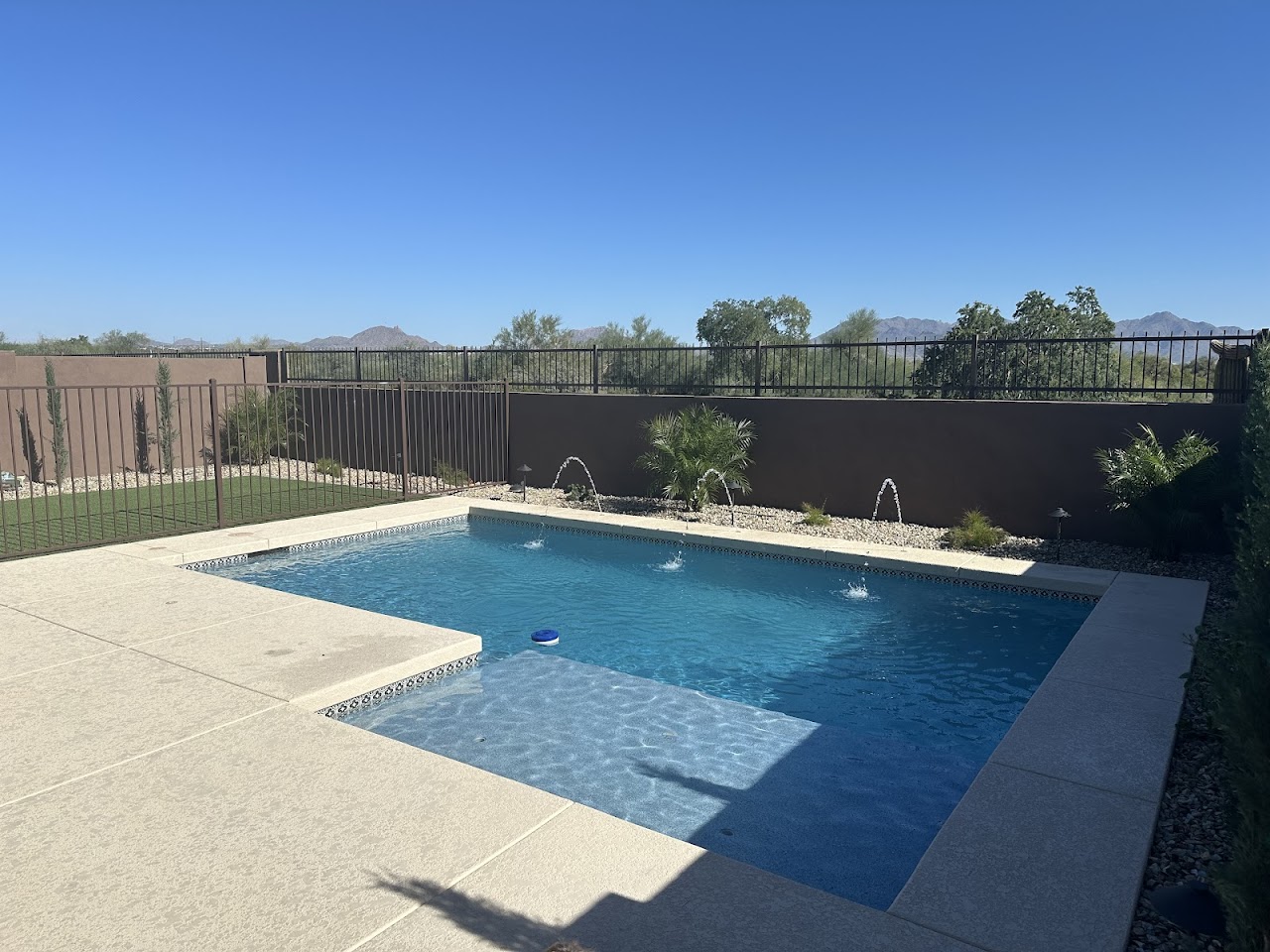 Dolphin Pools Construction project